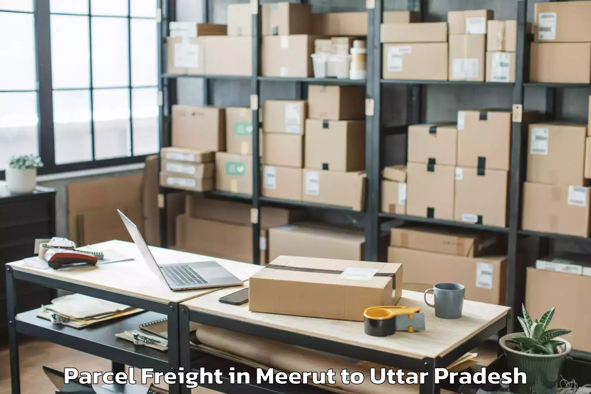 Affordable Meerut to Chandra Shekhar Azad Universit Parcel Freight